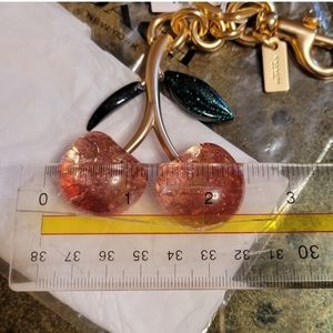 Coach Signature Cherry Bag Charm Resin 88547